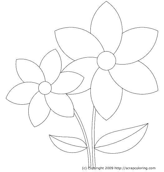 Coloring Small and big flower. Category simple coloring. Tags:  Flowers.