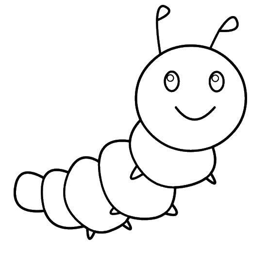 Coloring Cutie caterpillar. Category coloring. Tags:  Insects, caterpillar.