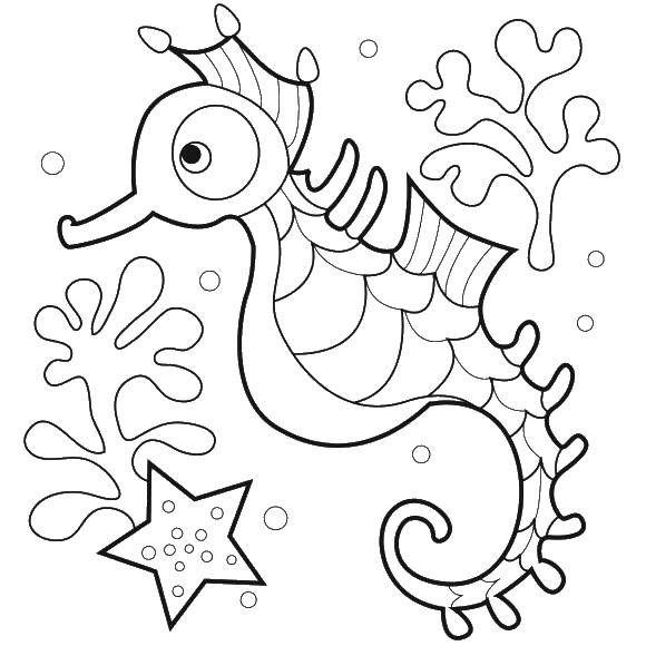 Название: Раскраска Морской конек в море. Категория: морские обитатели. Теги: морские жители, море, морской конек.