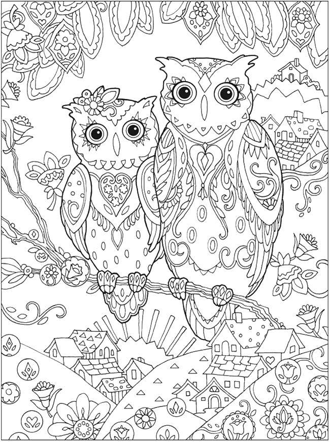 Coloring A couple of owls. Category Patterns. Tags:  Bathroom with shower.