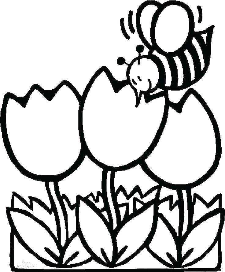 Название: Раскраска Пчёлка любит тюльпаны. Категория: раскраски. Теги: Насекомые, пчёлка.