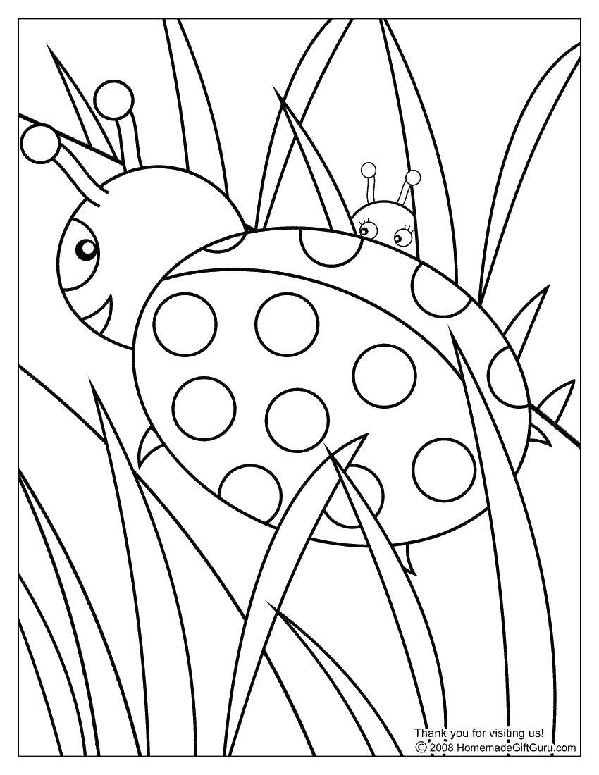 Coloring Hide and seek in the grass. Category Insects. Tags:  Insects, ladybug.