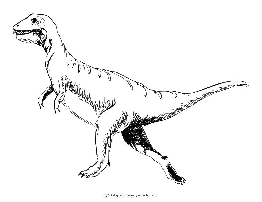 Coloring Chubby dinosaur. Category dinosaur. Tags:  Dinosaurs.