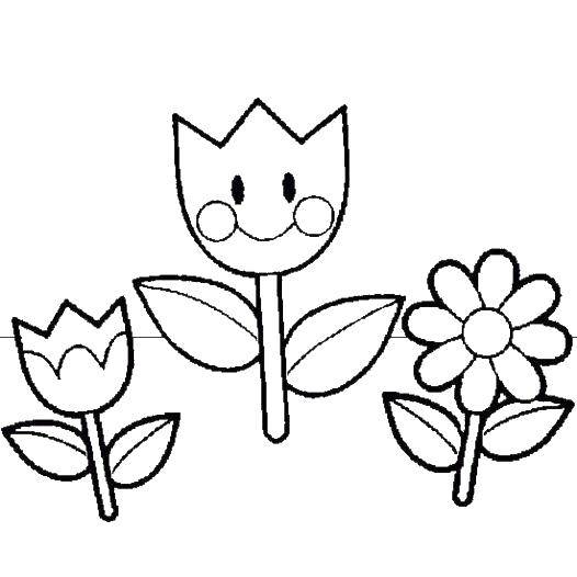 Coloring Joyful flowers. Category coloring for little ones. Tags:  Flowers.