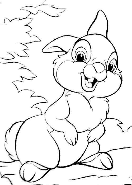 Название: Раскраска Рисунок зайчика. Категория: домашние животные. Теги: заяц, кролик.