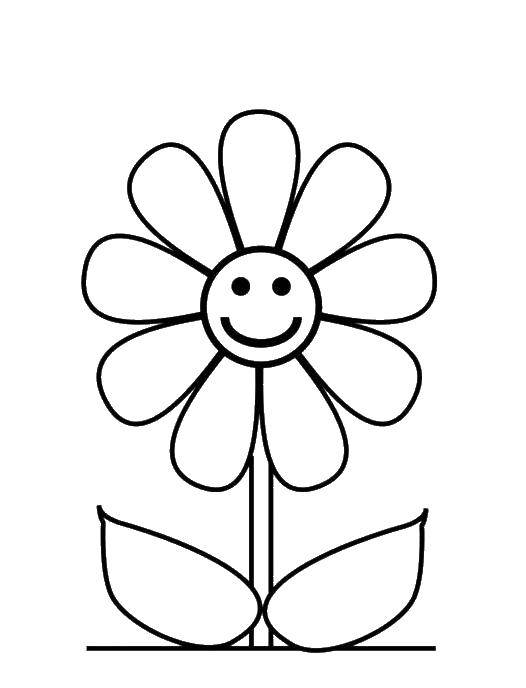 Coloring Daisy with a smiley face. Category Patterns with flowers. Tags:  Daisy, emoticon.