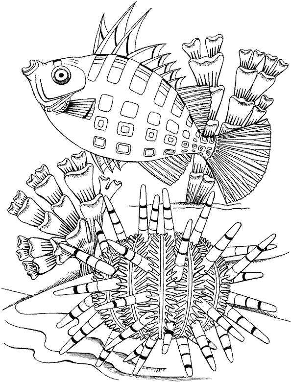 Название: Раскраска Рыба среди морских кораллов. Категория: морское. Теги: Подводный мир, рыба.