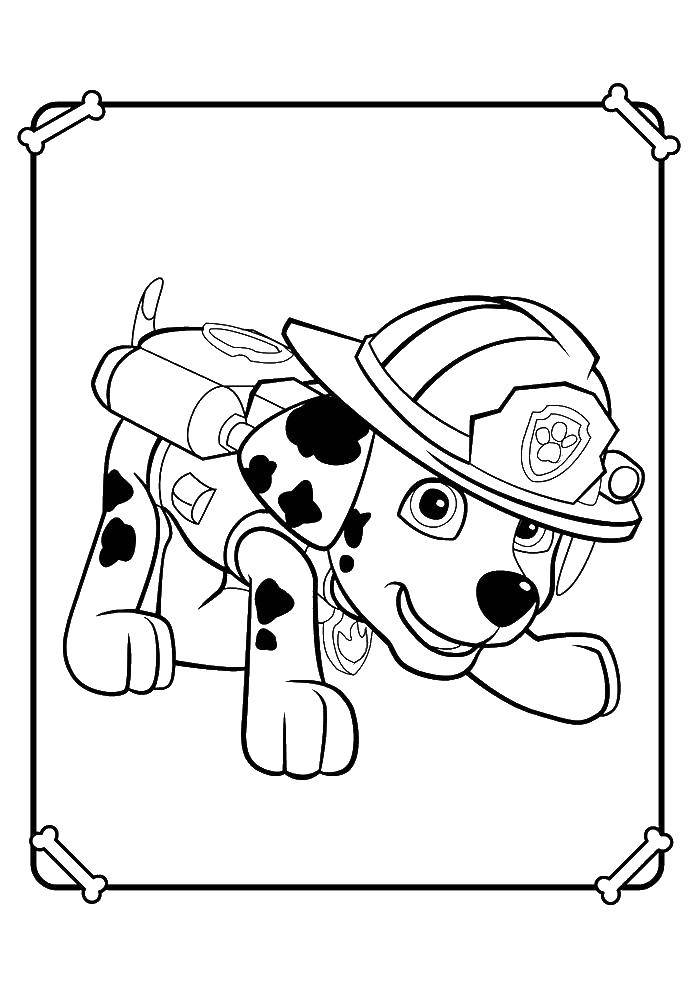 Название: Раскраска Щенячий патруль.. Категория: щенячий патруль. Теги: щенячий патруль, мультфильмы.