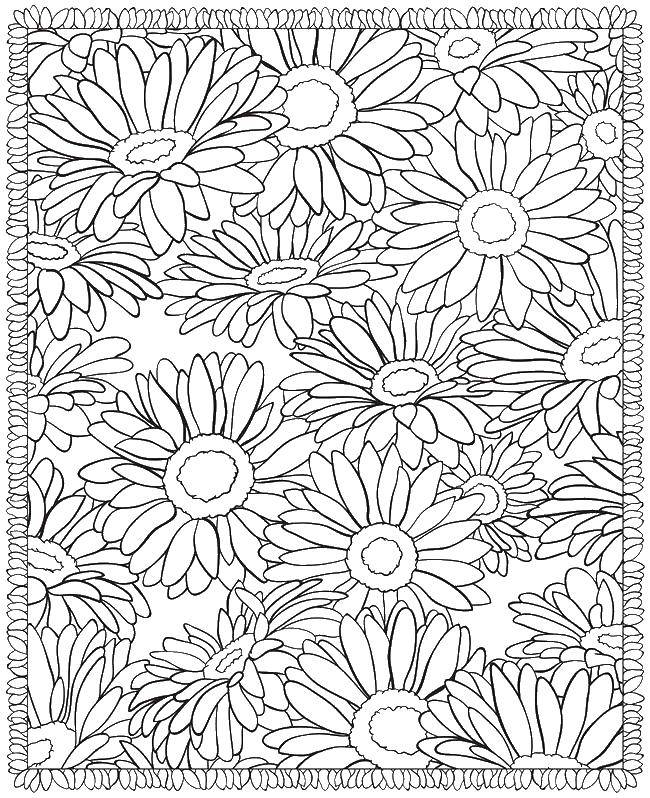 Coloring A cluster of flowers. Category Patterns with flowers. Tags:  Patterns, flower.