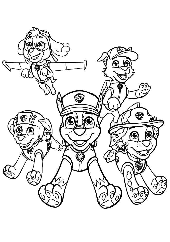 Coloring Characters dogs puppy patrol. Category paw patrol. Tags:  paw patrol, cartoons, characters.