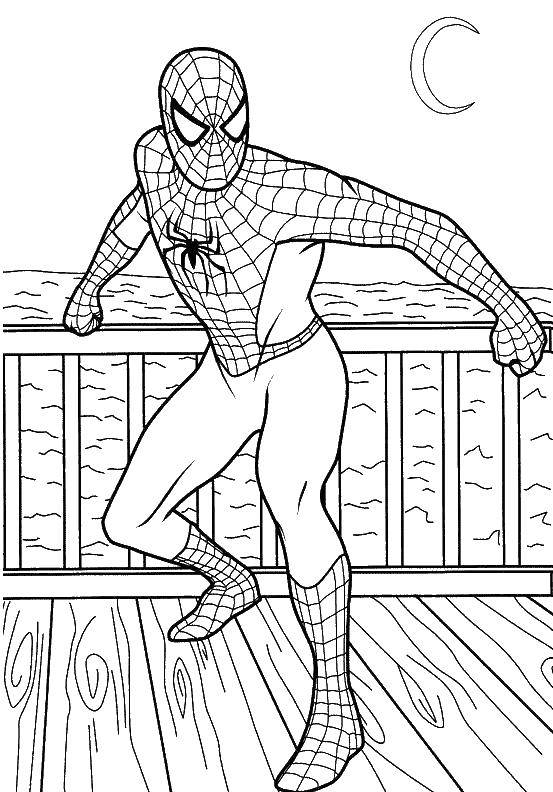 Название: Раскраска Спайдермен на пирсе. Категория: человек паук. Теги: комиксы, супергерои, человек паук, спайдермен.