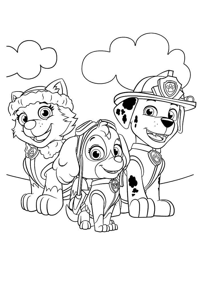 Название: Раскраска Три собачки. Категория: щенячий патруль. Теги: собаки, щенячий патруль, мультфильмы.