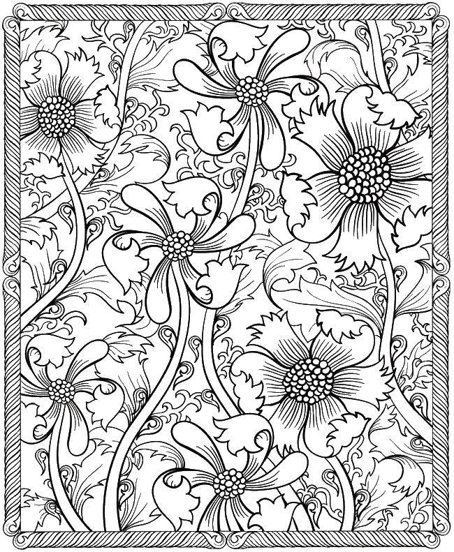 Coloring Flowers and leaves. Category Patterns with flowers. Tags:  patterns, flowers, patterns, flowers, leaves.