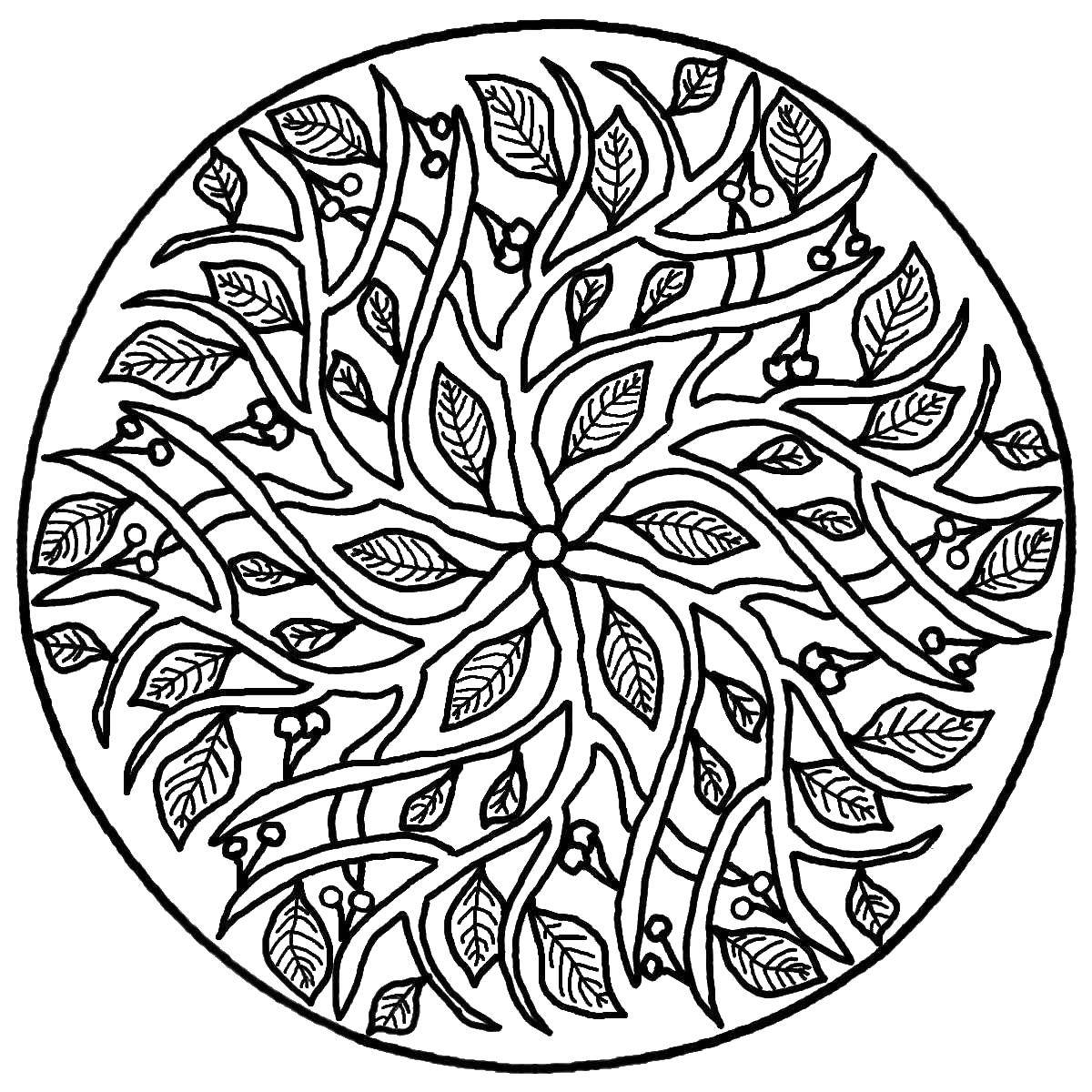 Название: Раскраска Узор из листочков. Категория: узоры. Теги: узоры, растения, листочки.