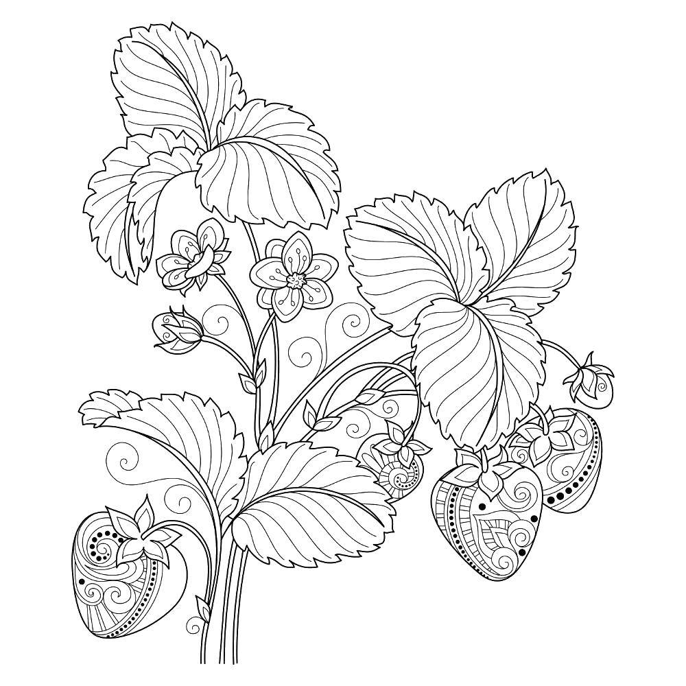 Coloring Patterned strawberries. Category coloring pages for teenagers. Tags:  Bathroom with shower.