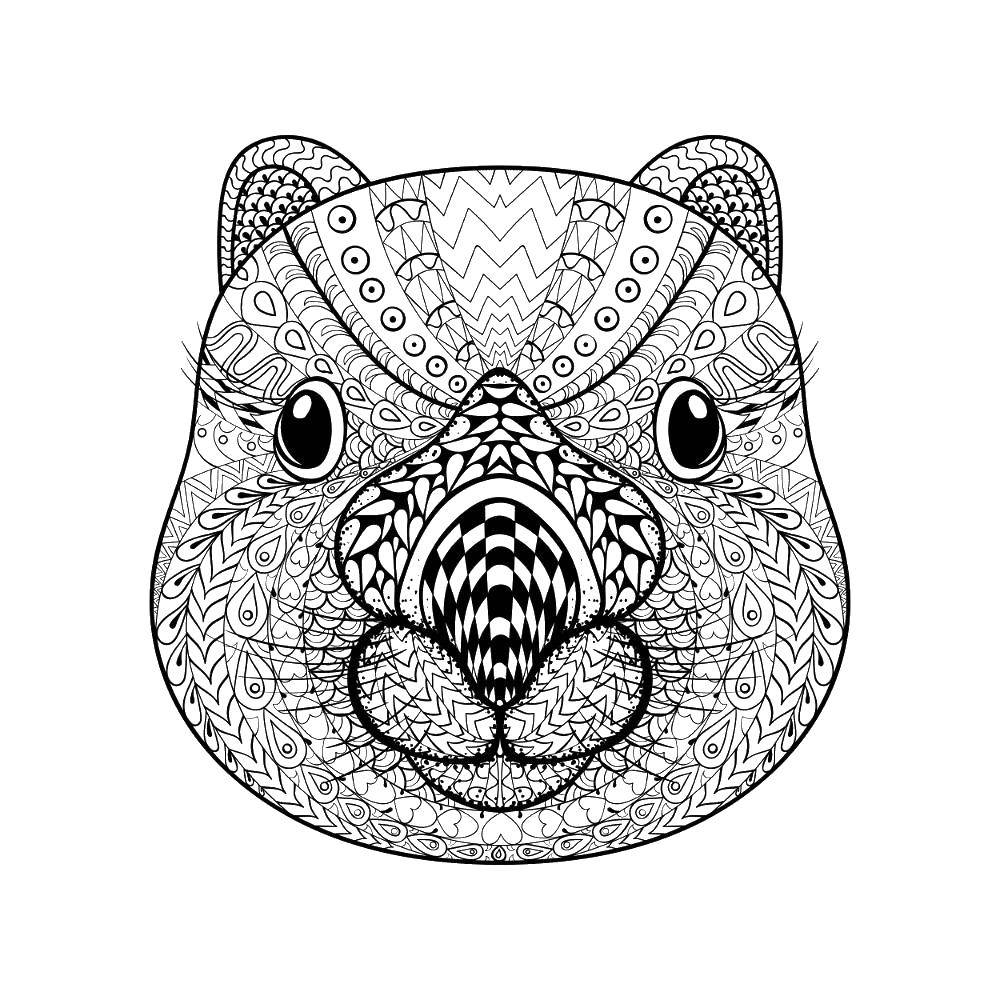 Coloring Patterned gopher. Category coloring antistress. Tags:  Patterns, animals.