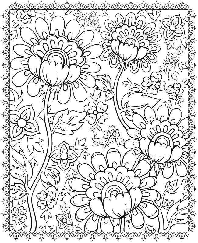 Coloring Magic flowers. Category Patterns with flowers. Tags:  Patterns, flower.
