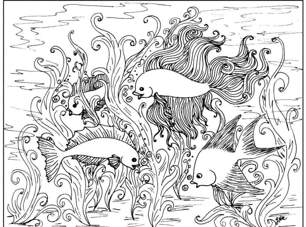 Название: Раскраска Золотые рыбки под водой. Категория: раскраски для подростков. Теги: Антистресс.