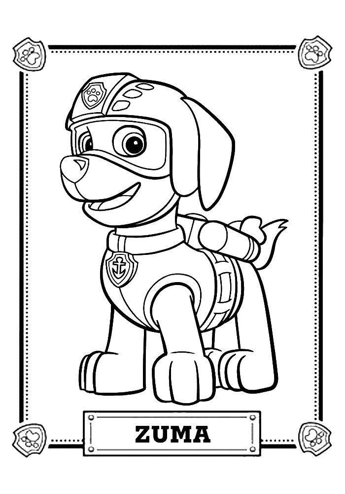 Coloring Zoom. Category paw patrol. Tags:  paw patrol, cartoons, zoom.