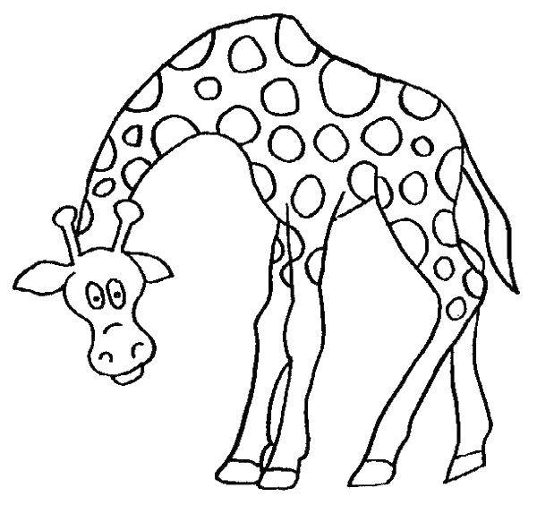 Розмальовки  Добрий жираф. Завантажити розмальовку тварини, жирафи.  Роздрукувати ,Тварини,