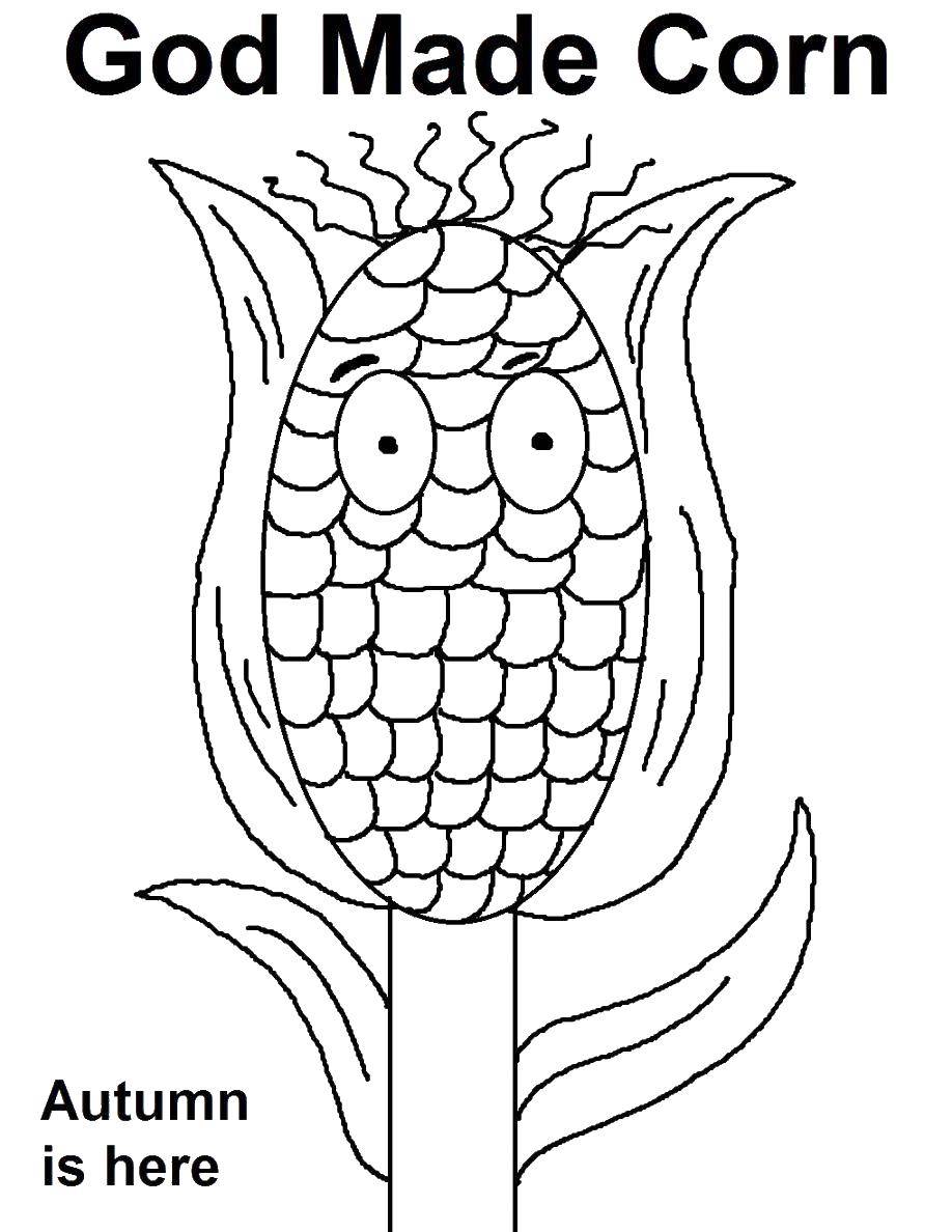 Название: Раскраска Бог сотворил кукурузу. Категория: Кукуруза. Теги: Кукуруза, зерна.