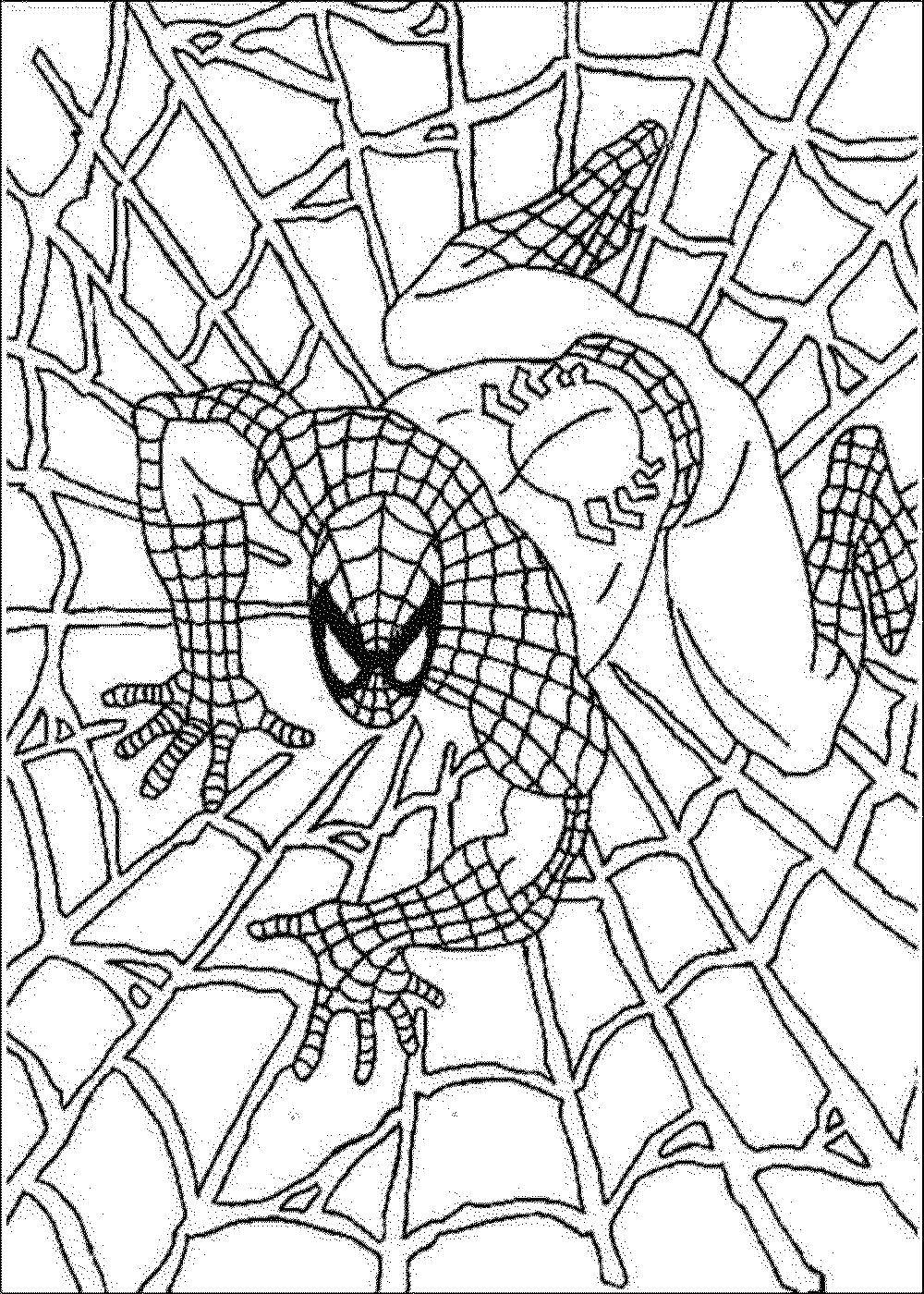 Название: Раскраска Человек паук на паутине. Категория: Персонаж из мультфильма. Теги: Персонаж из мультфильма, Человек Паук, комиксы.