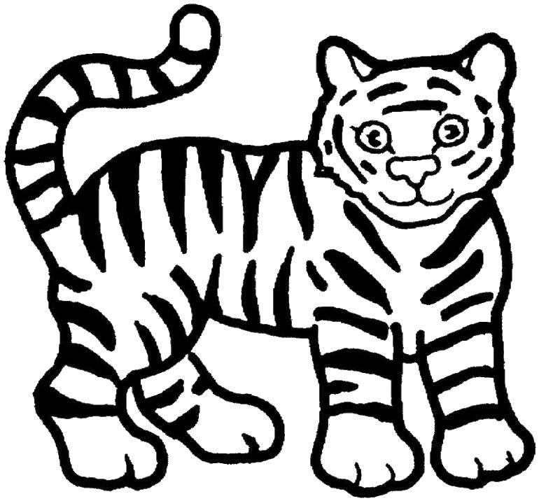 Название: Раскраска Милашка тигр.. Категория: раскраски для маленьких. Теги: Животные, тигр.