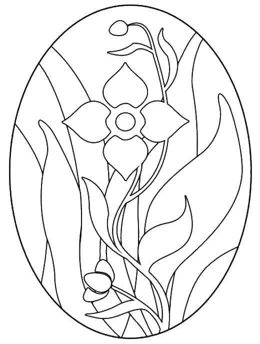 Название: Раскраска Овал с цветами. Категория: цветы. Теги: Цветы.