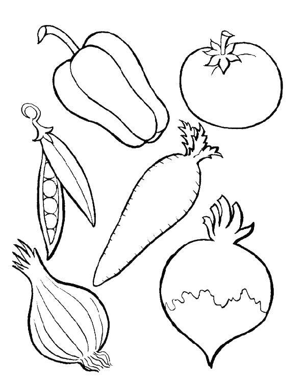 Coloring Vegetables are very useful. Category Vegetables. Tags:  Vegetables.