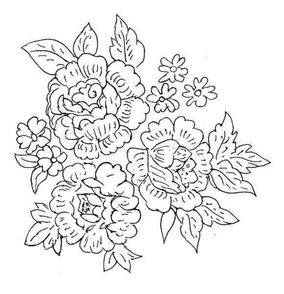 Coloring Lush beautiful flowers. Category flowers. Tags:  Flowers.
