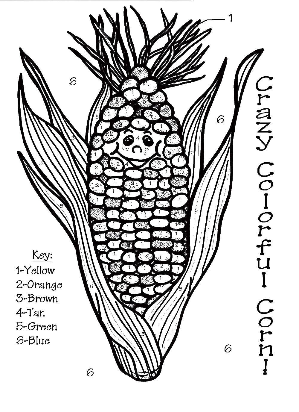 Название: Раскраска Раскрась кукурузу по номерам. Категория: Кукуруза. Теги: Кукуруза, зерна.