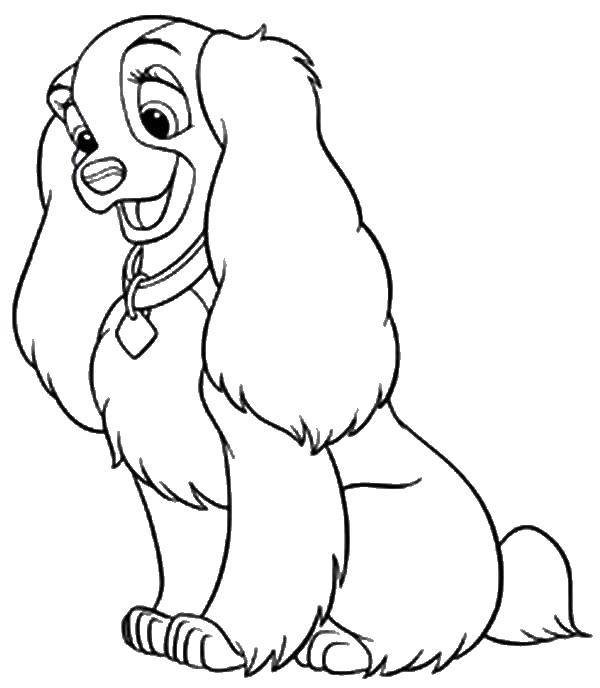 Coloring Dog lady. Category lady and the tramp. Tags:  lady and the tramp Cocker Spaniel.
