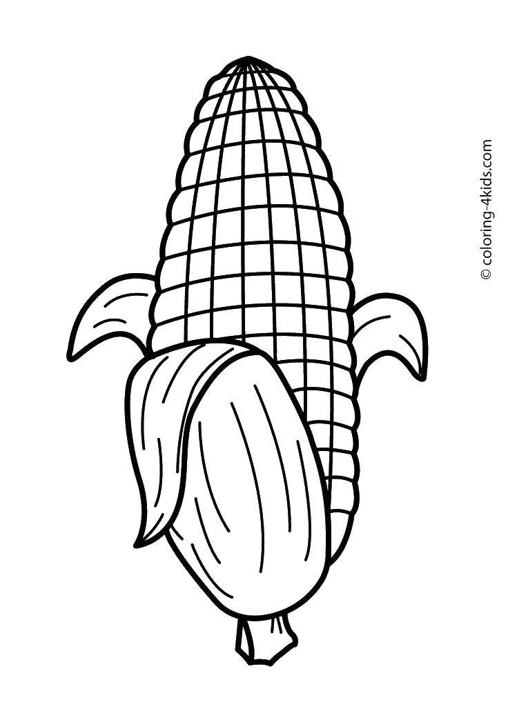 Название: Раскраска Сочная кукуруза. Категория: Овощи. Теги: Овощи.
