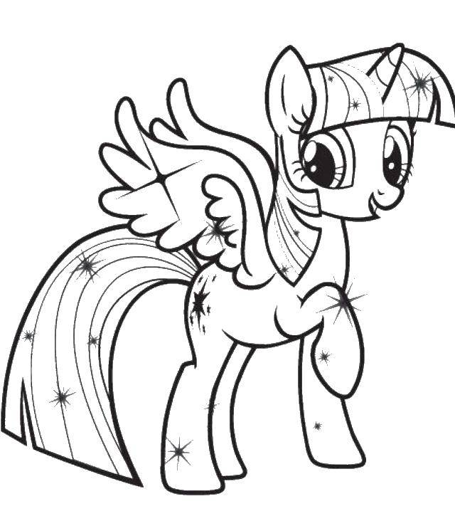 Название: Раскраска Сверкающая твайлет спаркл. Категория: мой маленький пони. Теги: мой маленький пони, искорка, твайлет спаркл.
