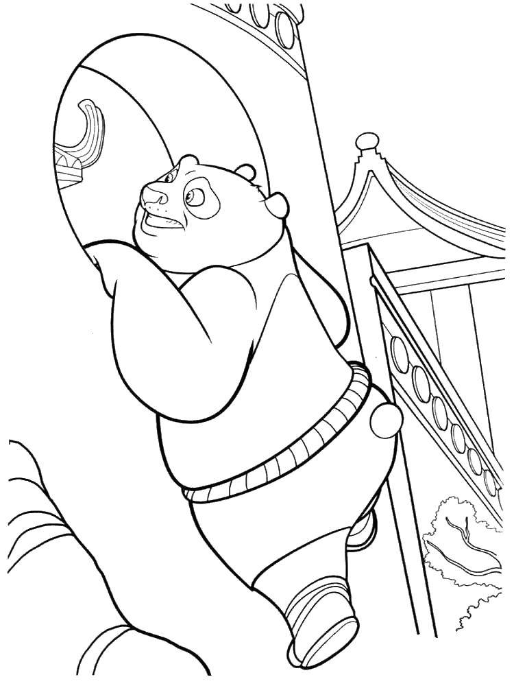 Coloring Plump for. Category kung fu Panda. Tags:  Cartoon character.