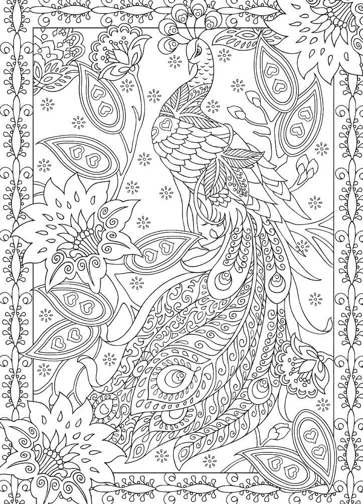 Coloring Patterned peacock world. Category coloring antistress. Tags:  Birds, peacock.