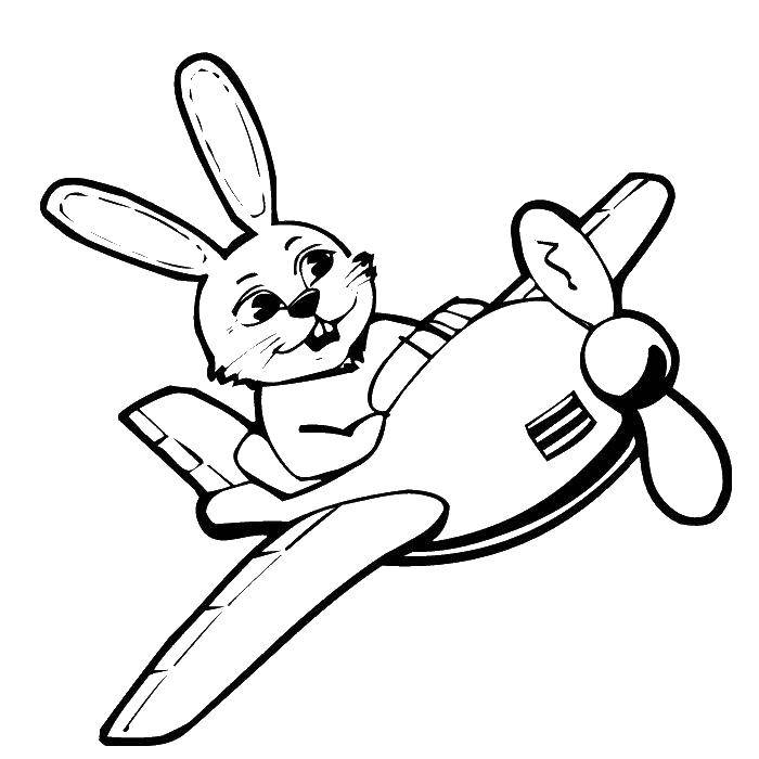 Coloring Hare pilot. Category The planes. Tags:  airplane, rabbit.