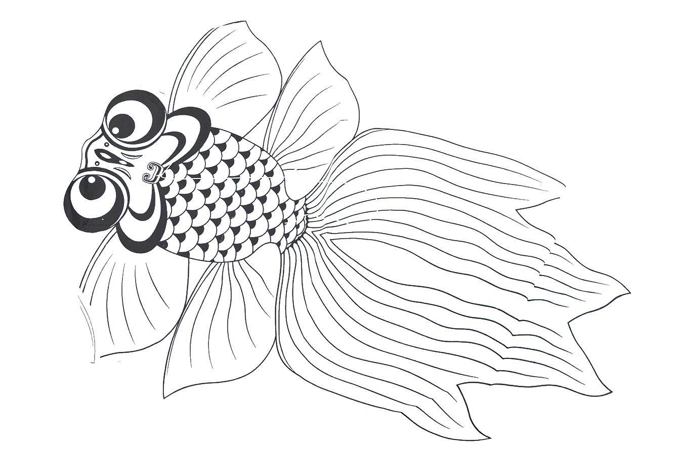 Название: Раскраска Золотая рыбка с большими глазами. Категория: воздушный змей. Теги: золотая рыбка, телескопам.