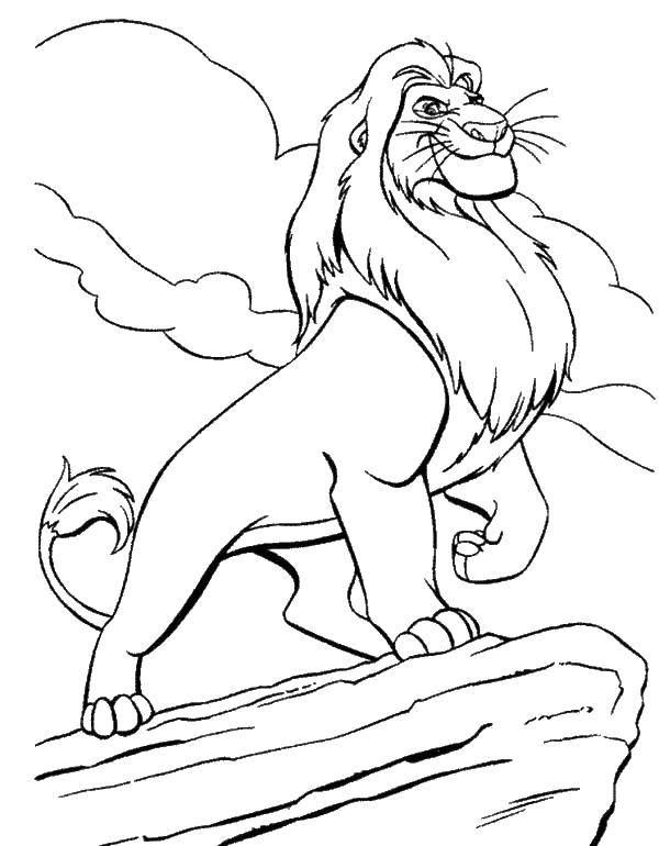 Розмальовки  Лев на горі. Завантажити розмальовку король лев, лев, мультфільми.  Роздрукувати ,Король лев,