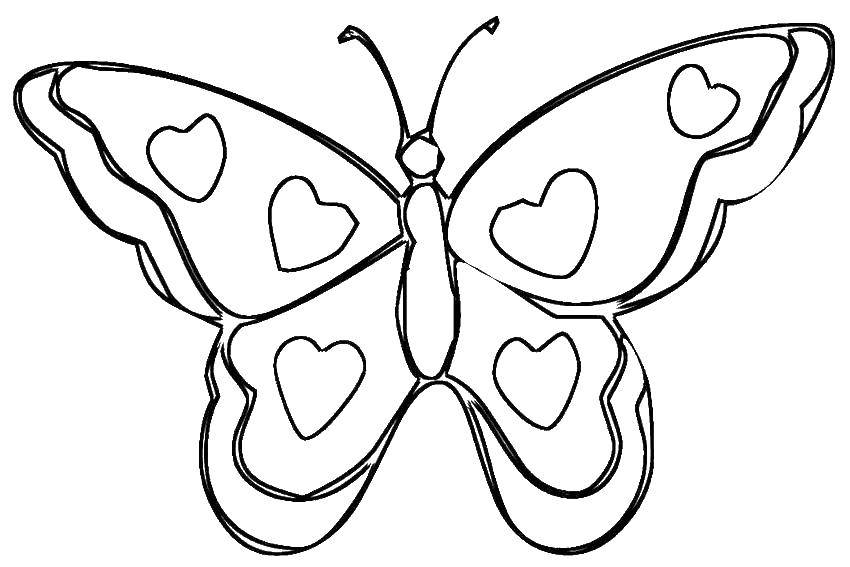 Розмальовки  Сердечка на крильцях. Завантажити розмальовку Метелик.  Роздрукувати ,метелики,