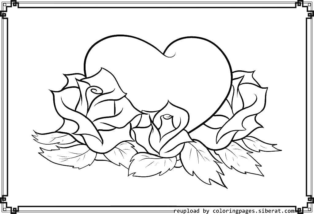 Розмальовки  Серце лежить в трояндах. Завантажити розмальовку Серденько, любов, троянда.  Роздрукувати ,Сердечка,
