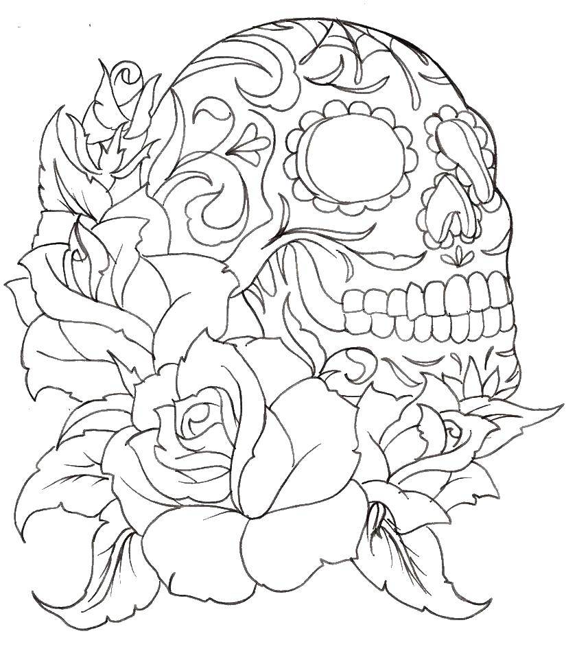 Название: Раскраска Череп и бутоны роз. Категория: Череп. Теги: череп, узоры, цветы, розы.