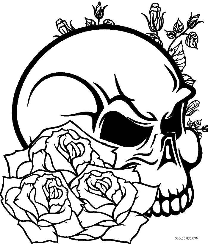 Название: Раскраска Череп и розы. Категория: Череп. Теги: растения, розы, черепа.