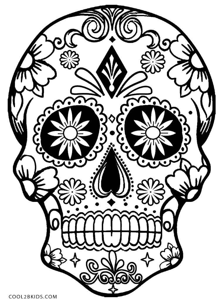 Coloring Skull with patterns and flowers.. Category Skull. Tags:  skulls, flowers, patterns.