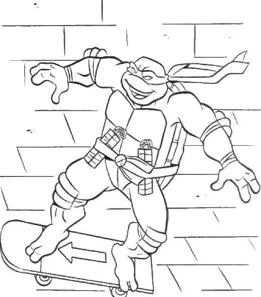 Coloring Ninja turtle on a skateboard. Category teenage mutant ninja turtles. Tags:  cartoon ninja turtles.