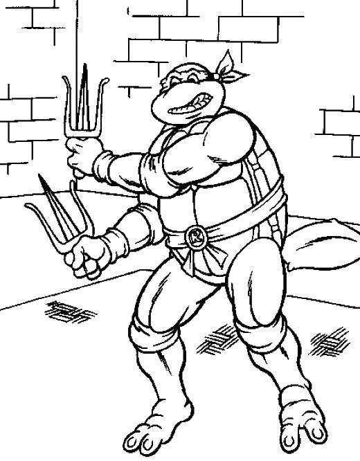 Coloring The turtle is Raphael. Category teenage mutant ninja turtles. Tags:  cartoon ninja turtles.