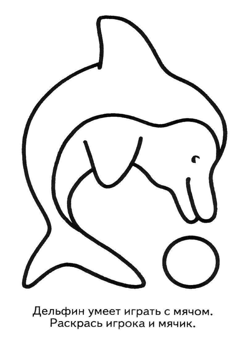Название: Раскраска Дельфин и мяч. Категория: Раскраски для малышей. Теги: дельфин, мяч, животные.