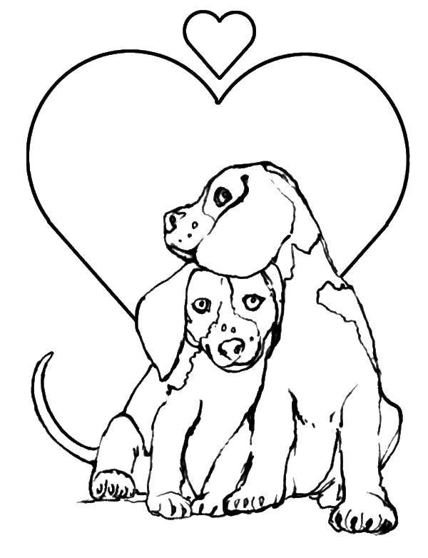 Название: Раскраска Две собачки и сердечки. Категория: домашние животные. Теги: животные, собачки, сердечки.