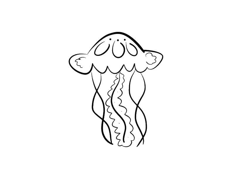 Название: Раскраска Грациозная медуза. Категория: Морские обитатели. Теги: Подводный мир, медуза.