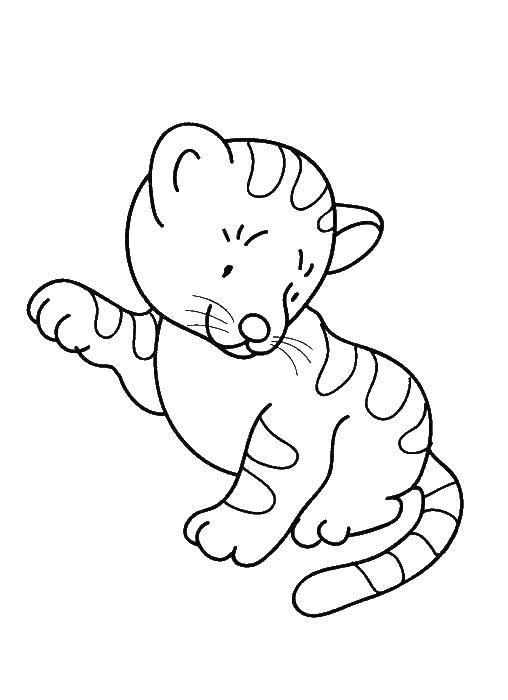 Coloring Playful tiger cub. Category Coloring pages for kids. Tags:  Animals, tiger.